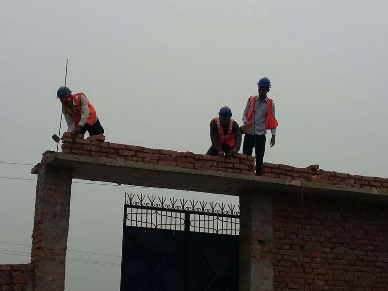 20150113_120141_resized (Copy) [800x600]